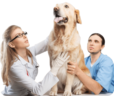 secondary-image1-min